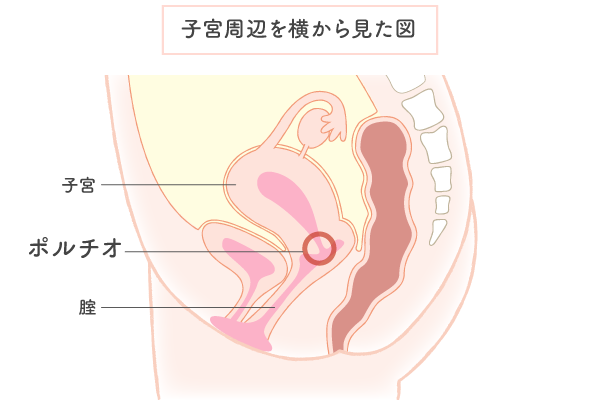 徹底解説】女性のオナニーのやり方やイク時のコツをわかり易く解説｜ホットパワーズマガジン