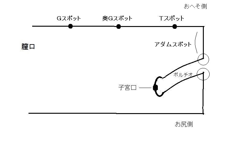 FANZA5.00点！森林原人が教える「中イキさせるテクニック」SEXが上手くなる教科書AVが半額セール中！！ – AV女優2chまとめ