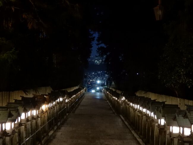 宵の宝山寺で夜景撮影 - おおさからんど・りある