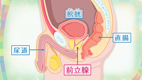 K-11/電気マッサージ器でのアナル前立腺責め – JPORU