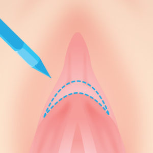 栗の皮」の正しいむき方、ご存じですか？ by栗＆リス | シランケンの不純愛講座