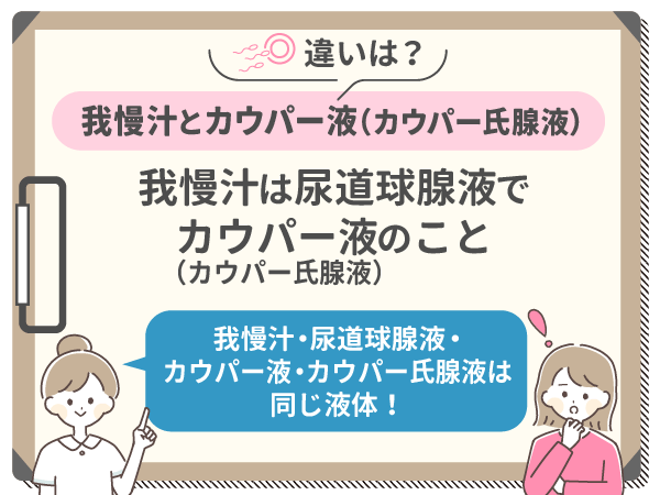 ガマン汁で赤ちゃんはできるのか？ | セイシル