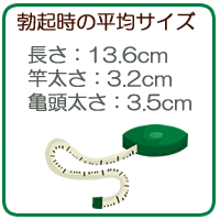 巨根サイズはどこから？】15cm以上、500円玉より太ければデカチンと言える｜あんしん通販コラム