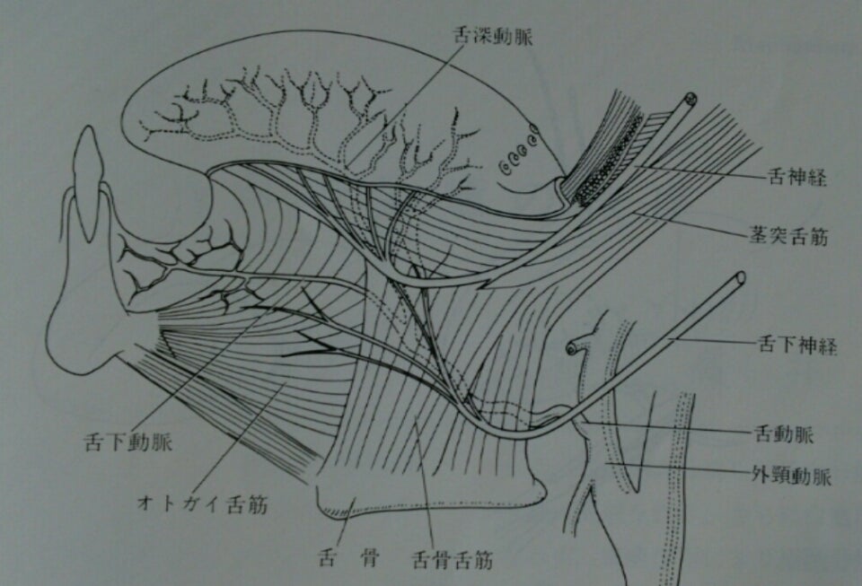 気になる口臭は「舌ケア」から 原因菌の「苔」を除去／専用ジェルやブラシ／スマホでリスク確認 - 産経ニュース