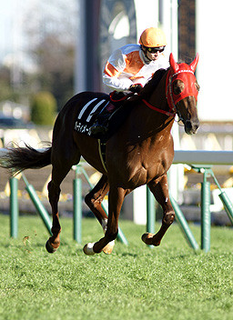 川崎競馬倶楽部ブログ 2022年11月