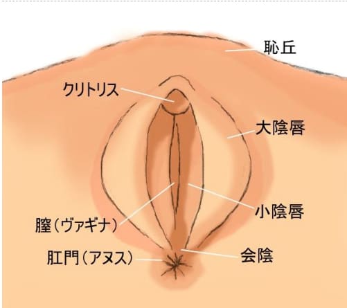 彼は私を彼の顔に座らせました。オマンコの舐め方ガイド！