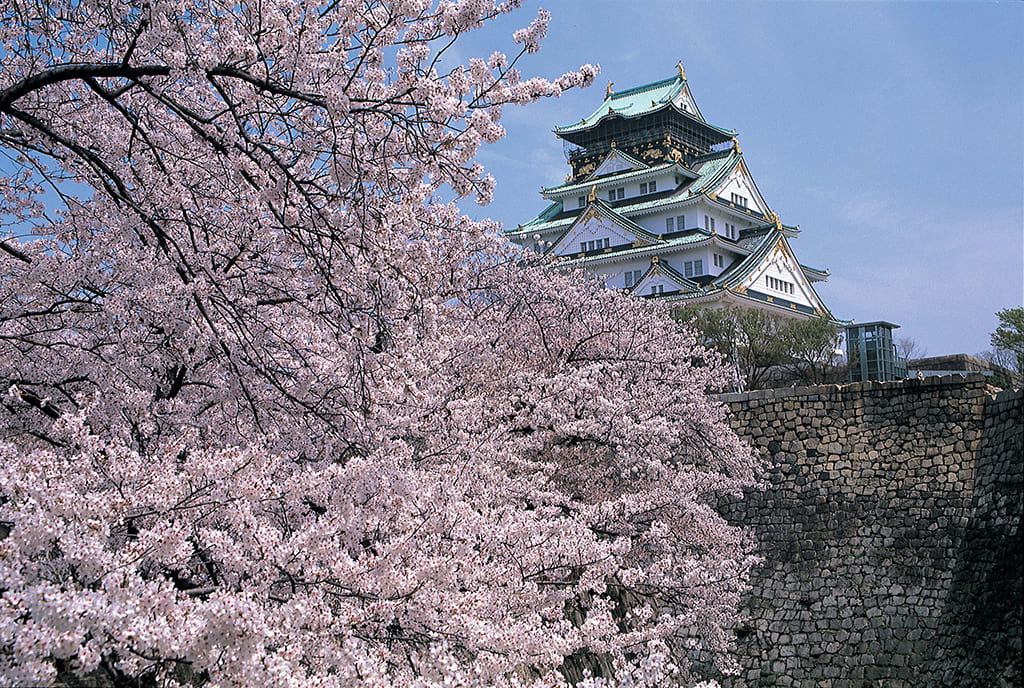 靭公園桜便り2021年春 | 新着情報 | 大阪市西区本町の税理士法人