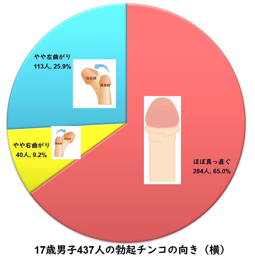 勃起 - Wikipedia