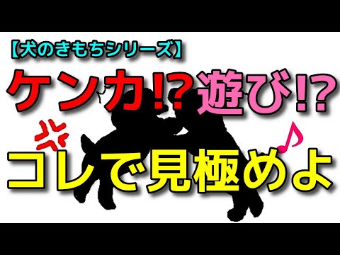 天華 えま ディナーショー「華」（追加公演）｜天華えま公式ファンクラブ「華ノ香」