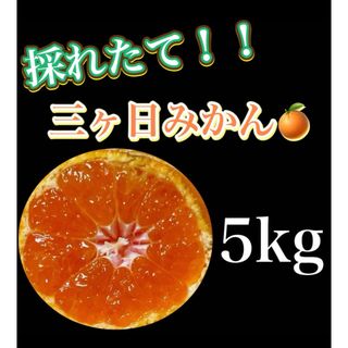 三ヶ日みかん【贈答用】箱入り娘　約5kg