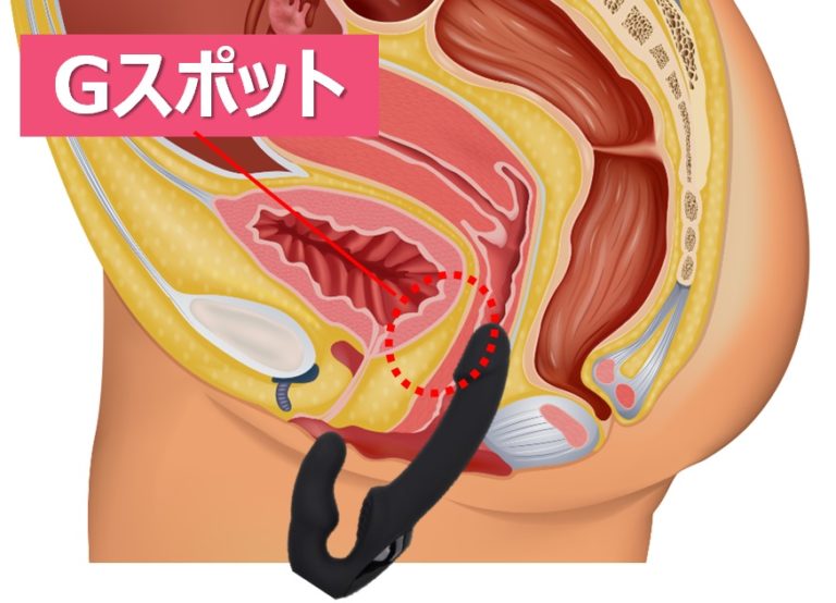 女性の「潮吹き」と「女性の射精」の明確の違いについて - 美容外科｜船橋中央クリニック&青山セレスクリニック