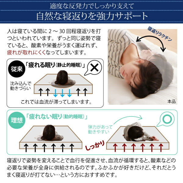 起床後は1cm身長が高い？ 腰痛のメカニズムは？ 目から鱗な「背骨9つの真実」