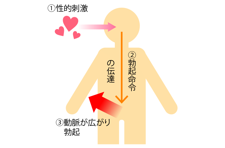 Amazon.co.jp: 全ての男が勃起する極上のカラダの素人 3