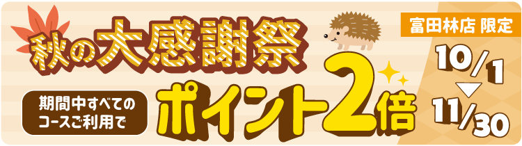 鍼灸整骨院いやし堂（堺市南区） -「むちうち・交通事故治療」