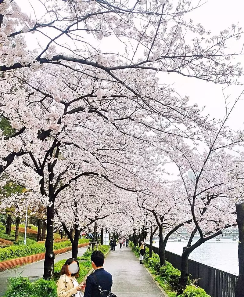 旅をしながら疲労回復！JR桜ノ宮駅より徒歩6分『プライベートサウナ』と『よもぎ蒸し』がSAKURA GARDEN HOTELにOPEN！ | 