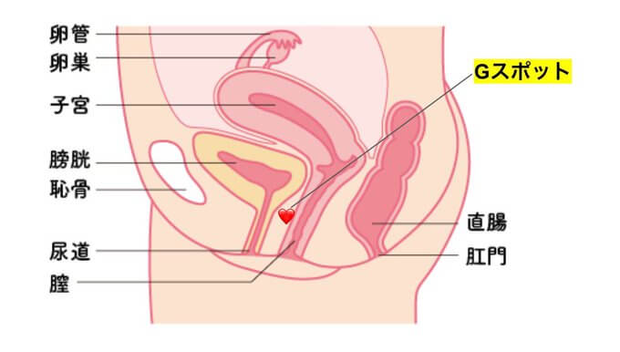 正しい手マン のやり方徹底解説!!