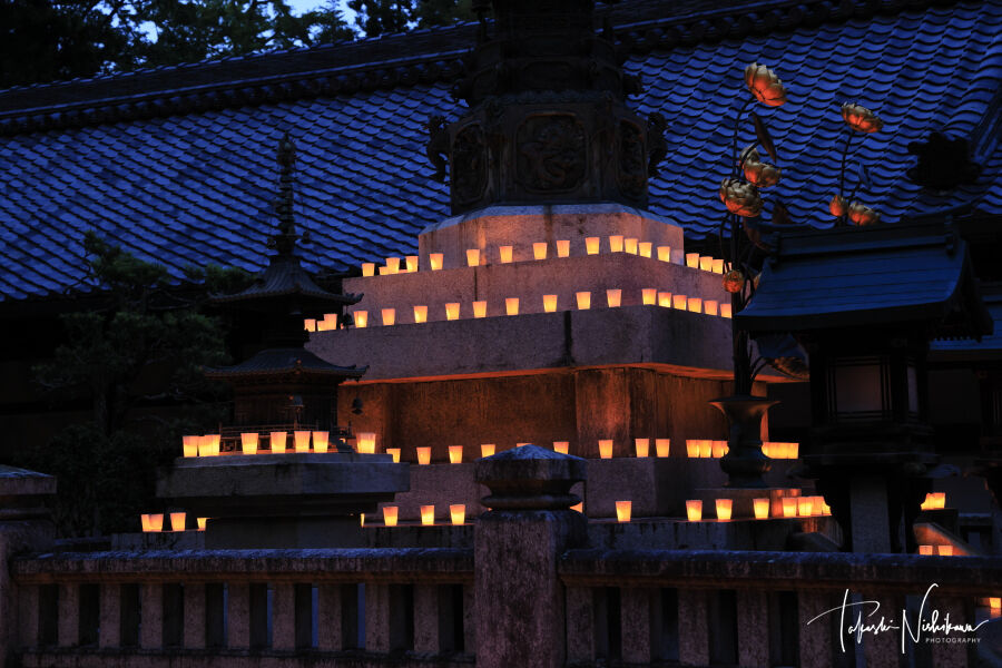 【夜間参拝】異世界を感じる奈良の神社とお寺