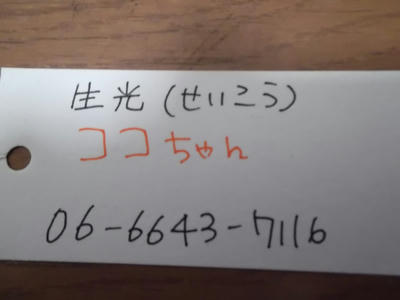 ４日連続で飛田新地 各論Ⅰ 錦 ひなた③