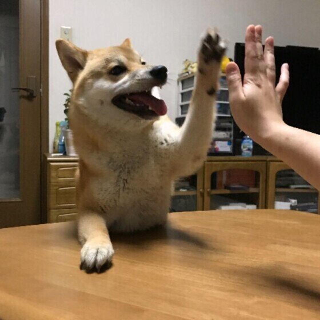 生足 太もも 舐め