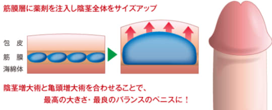 女性は太いちんこの方が気持ちいいの？体験談から理想の太さを調査｜風じゃマガジン