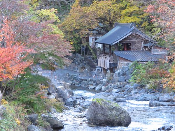 ◇20.12/12(土)～13(日)…伊豆・伊東温泉☆婚活＆恋活&混浴体験ツアー | なちゅらる