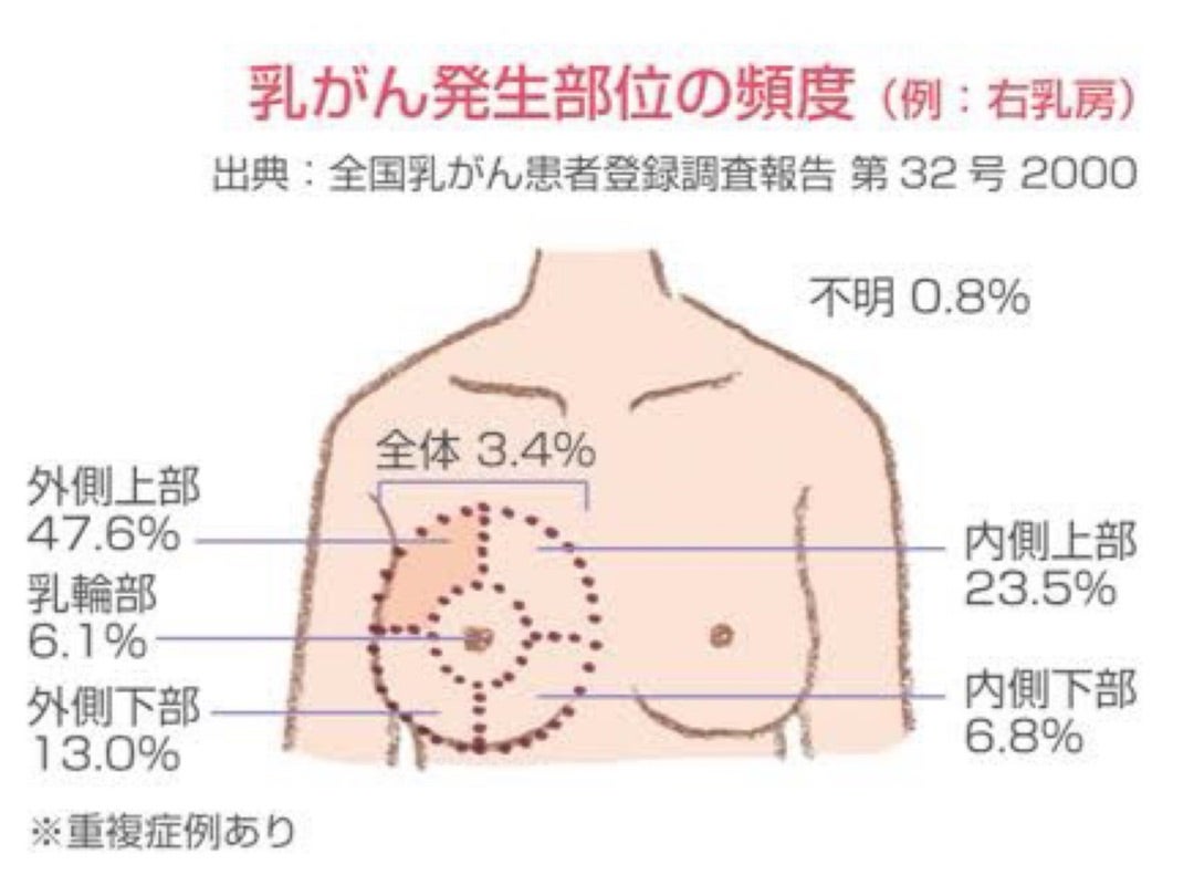 ピースエイト 温パッド バスト用 2枚