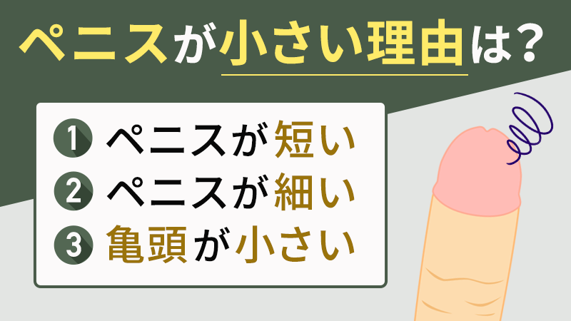 長茎術（パワーアップ） ： 男性器（包茎、長茎など）：美容外科 高須クリニック