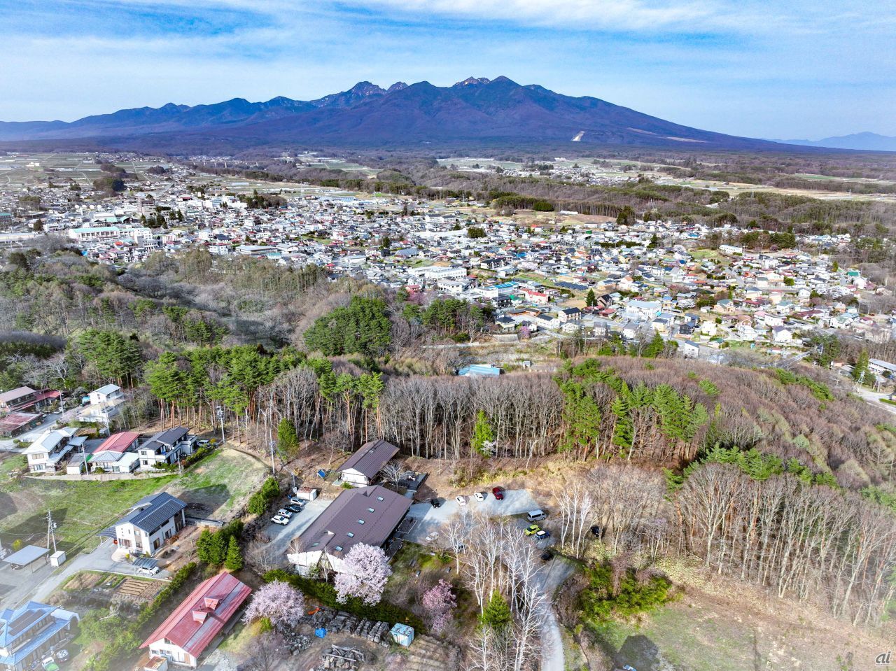 長野市若穂地区 蓮台寺の紫陽花』長野市(長野県)の旅行記・ブログ by わんこさん【フォートラベル】