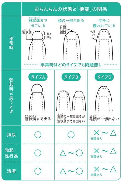 ペニスの曲がり】ペニスが曲がっているのはなぜなのか - TENGAヘルスケア プロダクトサイト