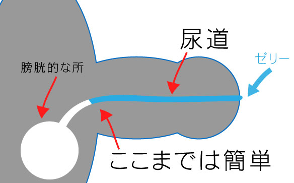 ウィダーインゼリーオナニー ウィダニー おしっこ 放尿