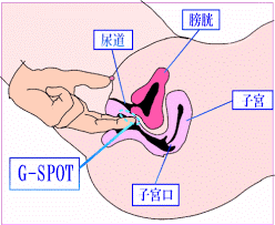 東風の会】潮吹き指サックG ブラック | 東風の会 [公式通販]TOFU