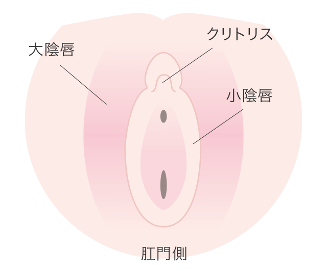 クリトリス 皮 剥く