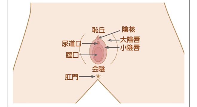 【完全版】女性が最も感じやすい性感帯の刺激方法３選