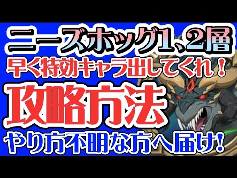 モンスター娘TD』2.5周年！ 進化したワエマワとフランシが限定モンスター娘に。記念イベントではニーズホッグ娘ニーサを仲間にできる -