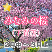 テレ朝・森山みなみアナ：モーニングショー出演残り2回 遅咲きの桜「私が担当している間に開花するかな」