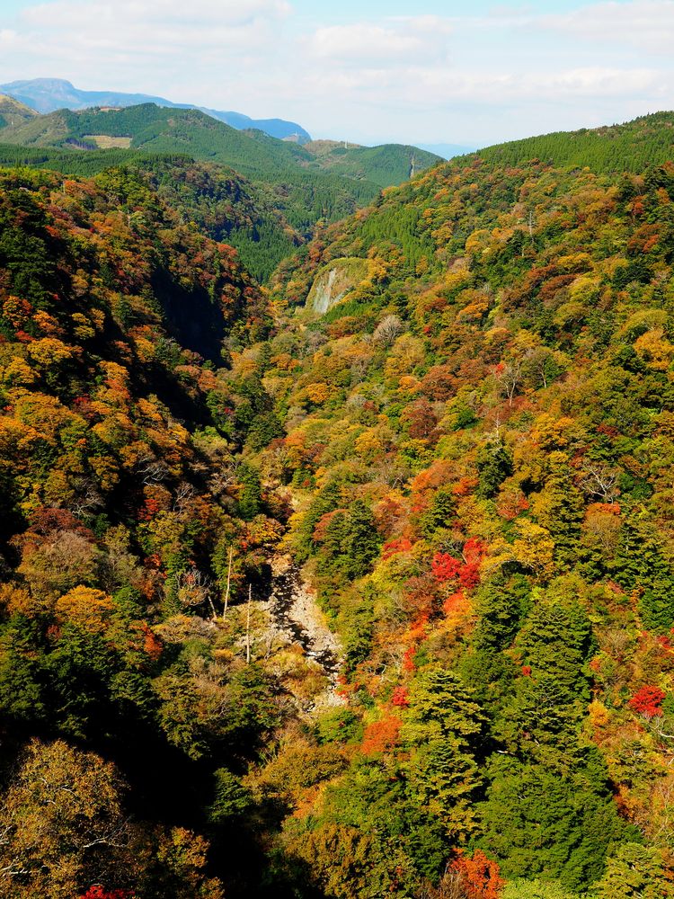 ならここの湯(静岡県掛川市居尻179)の入浴施設や温泉施設 - [寄り湯ドットコム]