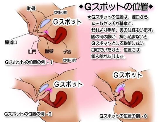 4 女の子がＧスポットを刺激されることに関する考察 | 考察シリーズ