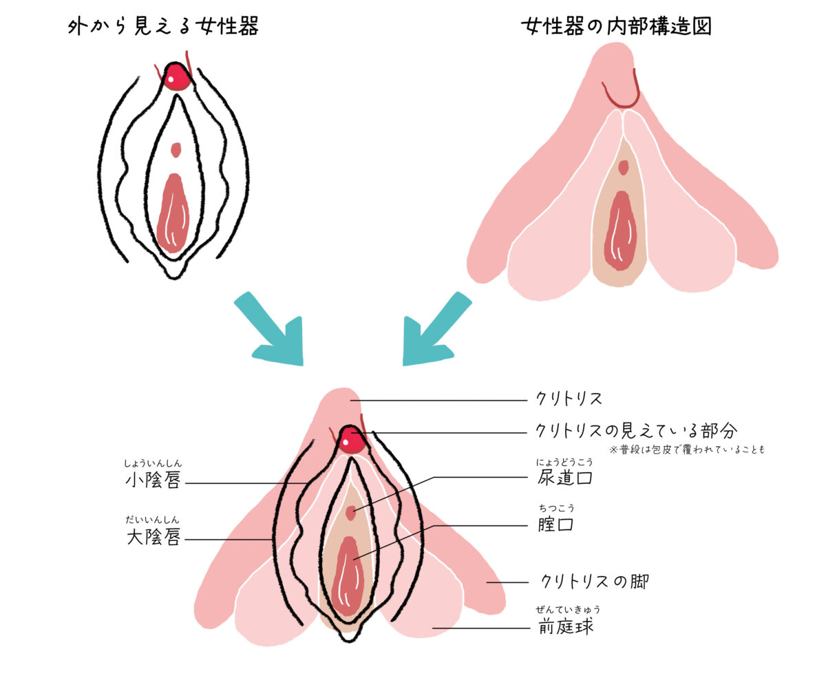 セックスでイクとはどんな感覚？女性がイク寸前にはどうなる？ | Ray(レイ)