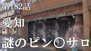 本番/NN/NSも？知立市の風俗2店を全100店舗から厳選！【2024年】 | Trip-Partner[トリップパートナー]