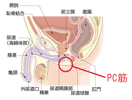 イク”感覚ってどんな感じ？ 20代~30代女性の語るオーガズムの本音 | MORE