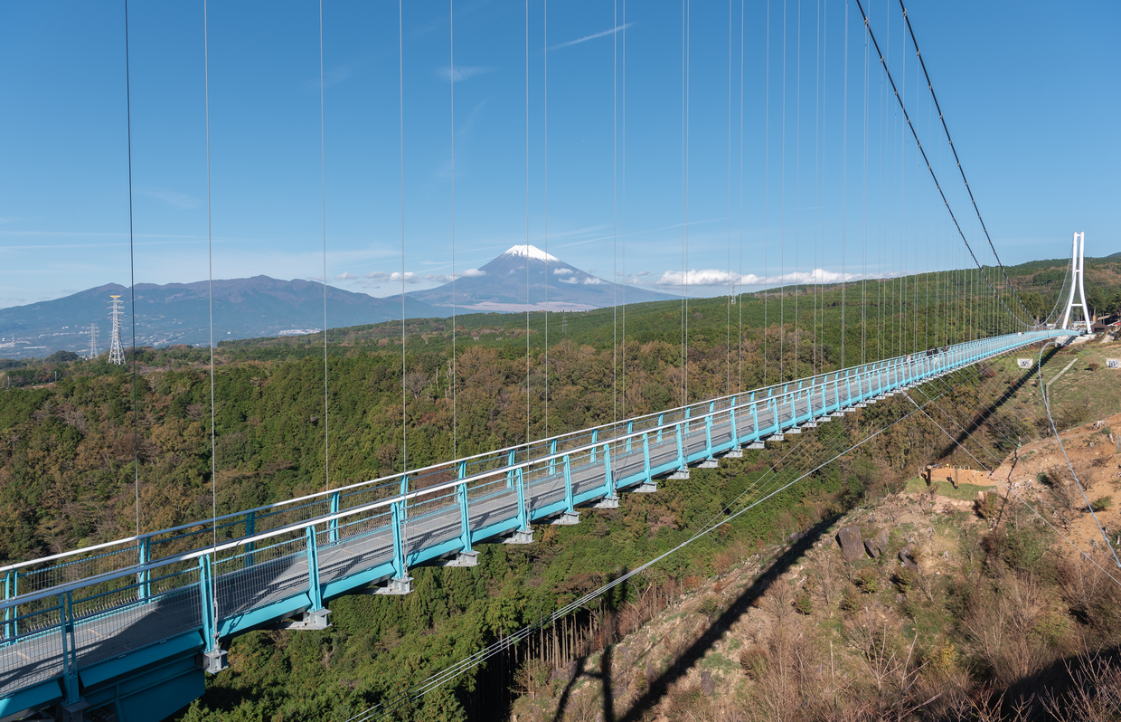 三島駅に近い安く泊まれるホテル・旅館 【Yahoo!トラベル】