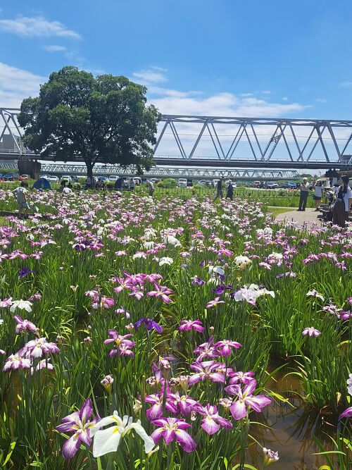 lento〈水道橋〉 | シーシャ（水たばこ）情報「けむログ」