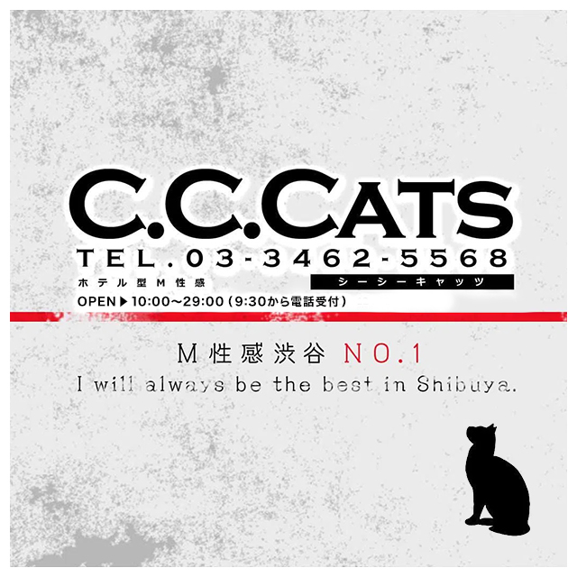 C.C.Cats（シーシーキャッツ）（シーシーキャッツ）の募集詳細｜東京・渋谷の風俗男性求人｜メンズバニラ