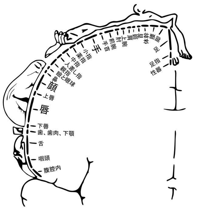 男女別】感度を高める乳首開発の方法とエロい技 | HIME