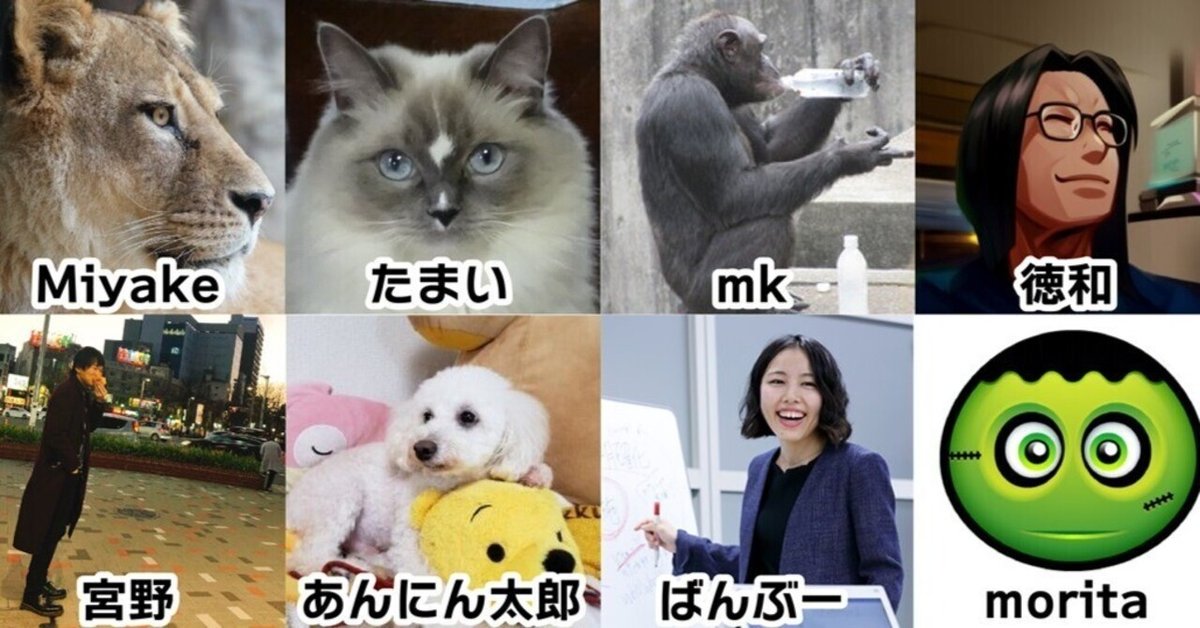 猫好きさん必見！名古屋名物に新種 発見！！｜日常を笑顔にする楽しい趣味ブログです