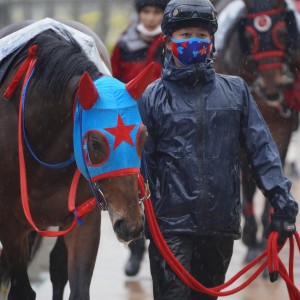 ロコポルティ 耐熱陶器鍋 -