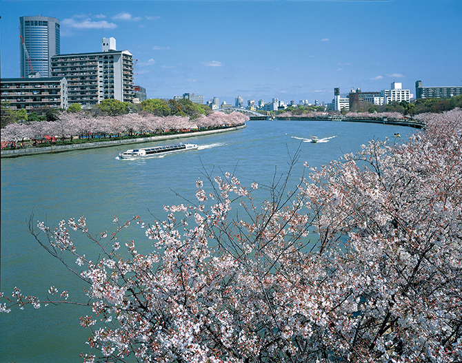 ２０２１年愛知の桜の名所や穴場おすすめ花見スポットをご紹介 | HonuLog～ホヌログ