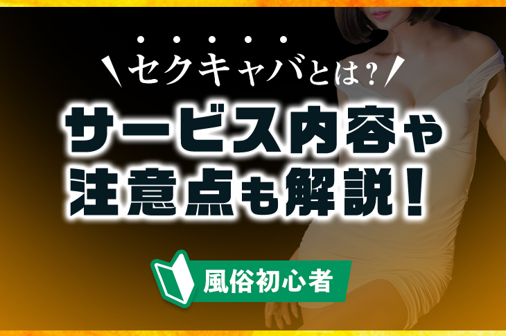 セクキャバの給料はどのくらい？相場や給料の仕組みを紹介 – 東京で稼げる！風俗求人は【夢見る乙女グループ】│ メディア情報サイト