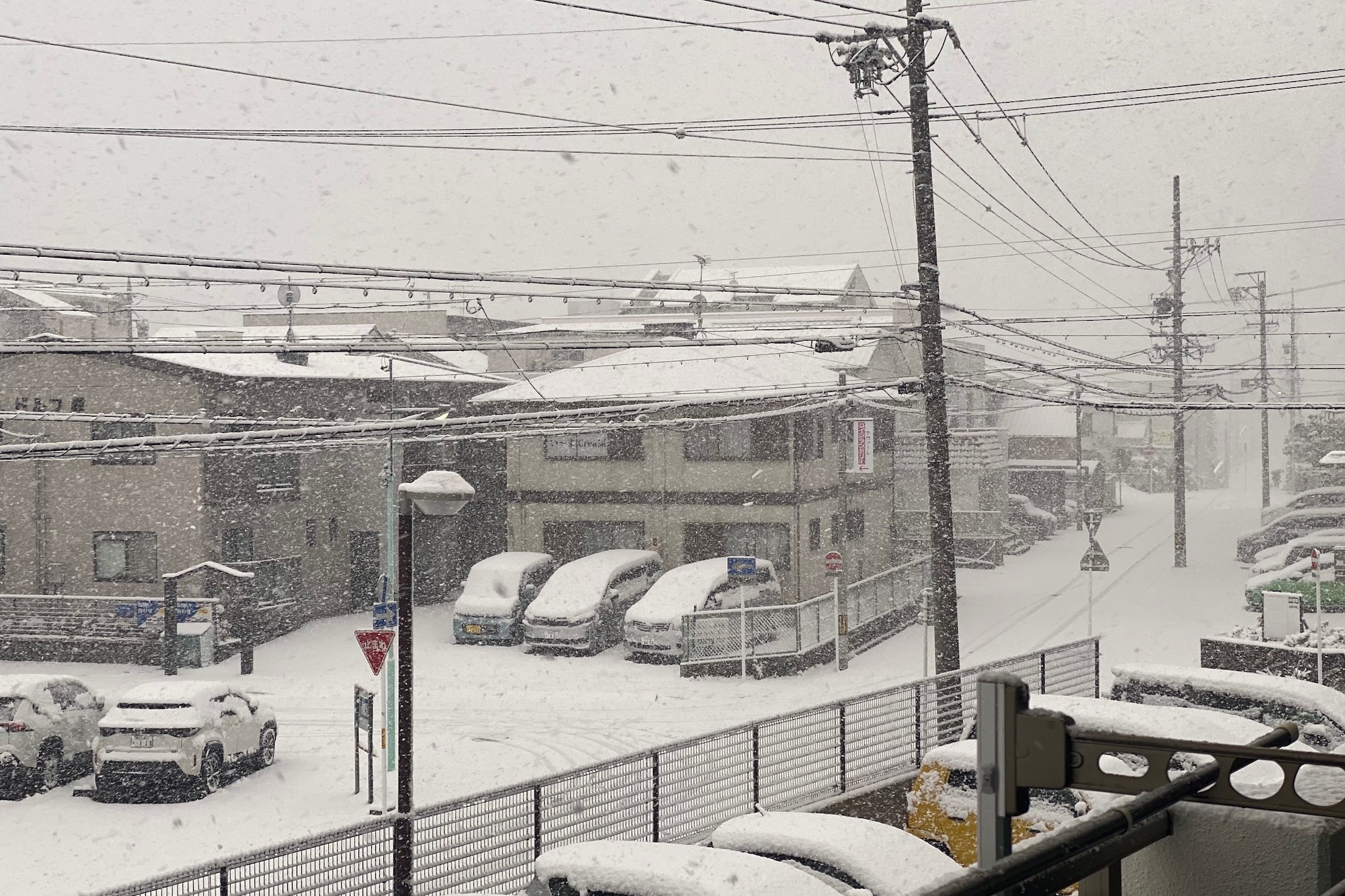 名古屋で初雪を観測 朝までは名古屋市内でも積雪に注意 - ウェザーニュース