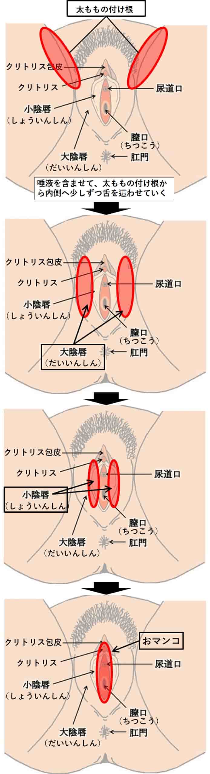 セフレが欲しければ先にクンニのテクを磨け！舐めテク4つを伝授！ | Trip-Partner[トリップパートナー]